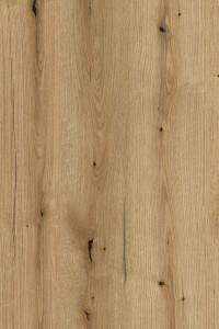 Coast Evoke Oak